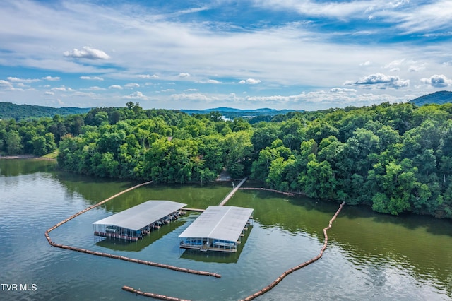 607 Lakeview Dr, Mooresburg, TN 37811