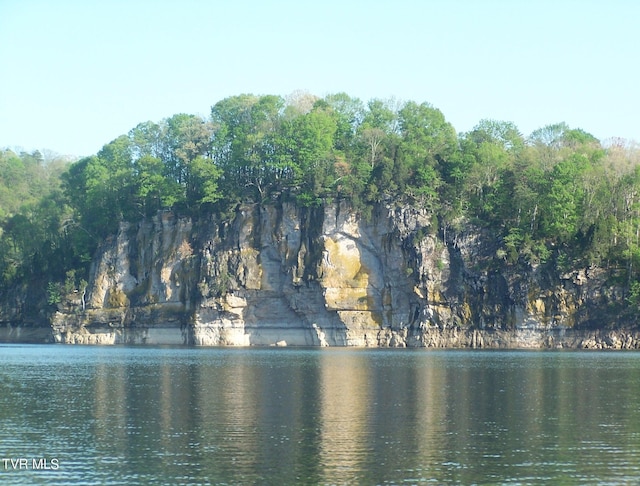 607 Lakeview Dr, Mooresburg, TN 37811