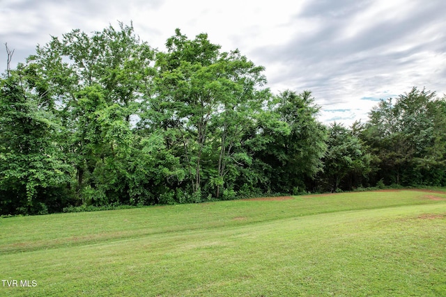 460 W Hills Dr, Mosheim, TN 37818 - photo 10