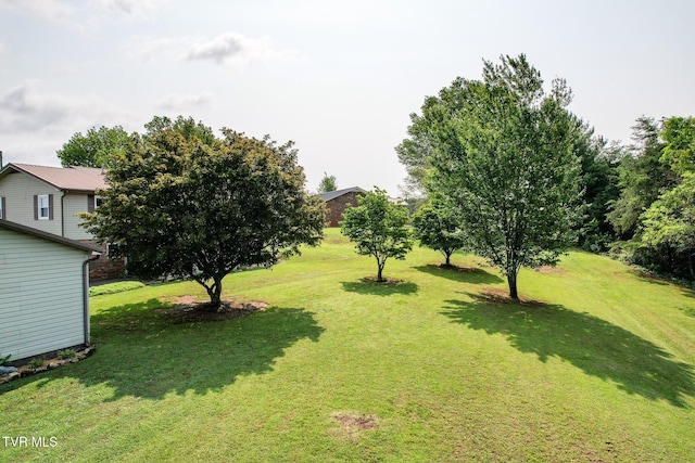 460 W Hills Dr, Mosheim, TN 37818 - photo 24