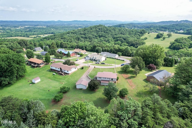 460 W Hills Dr, Mosheim, TN 37818 - photo 30