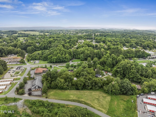 TBD Forest Dr, Jonesborough, TN 37659