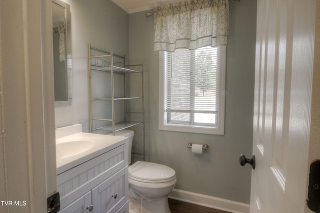 361 Belmont Dr Unit 14, Bristol, TN 37620 - bathroom with plenty of natural light, vanity, and ornamental molding