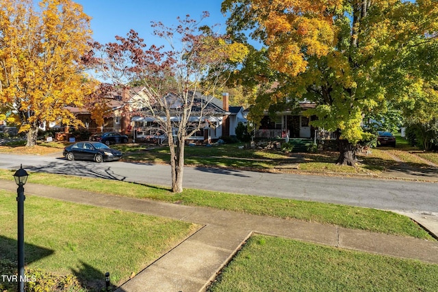 215 Clinchfield Ave, Erwin, TN 37650 - view of green lawn