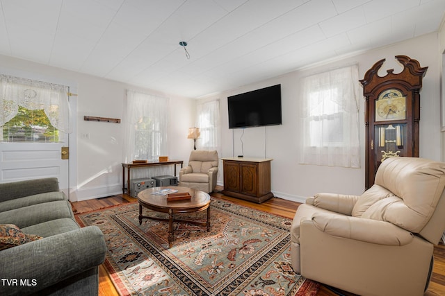 215 Clinchfield Ave, Erwin, TN 37650 - living area featuring wood finished floors and baseboards