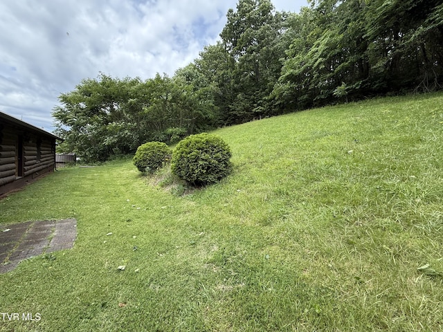 366 Judge Ben Allen Rd, Elizabethton, TN 37643 - view of grassy yard