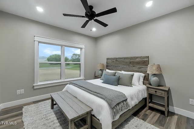 5980 Snapps Ferry Rd, Afton, TN 37616 - bedroom featuring baseboards, wood finished floors, recessed lighting, and a ceiling fan