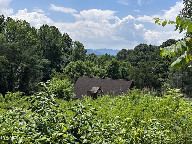 TBD Happy Valley Rd, Johnson City, TN 37601 - photo 10