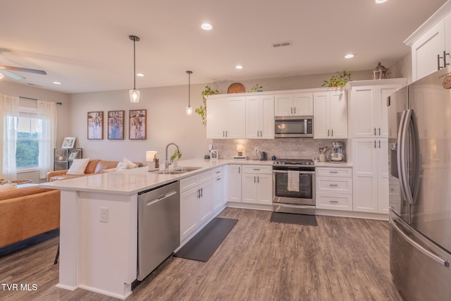 4073 Maize Pl, Piney Flats, TN 37686 - kitchen featuring appliances with stainless steel finishes, a sink, open floor plan, wood finished floors, and a peninsula