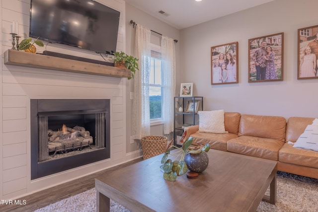 4073 Maize Pl, Piney Flats, TN 37686 - living room featuring wood finished floors and a fireplace