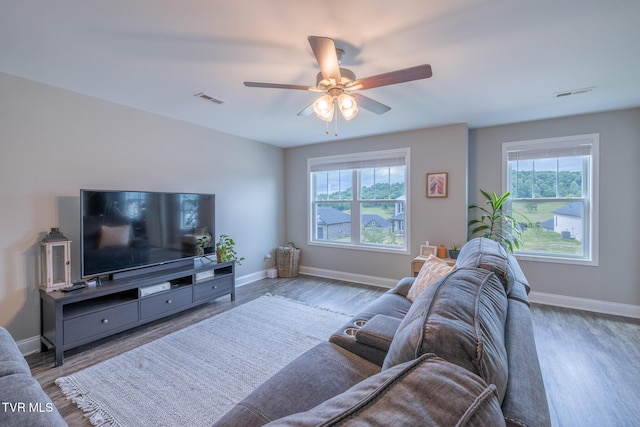 4073 Maize Pl, Piney Flats, TN 37686 - living area with healthy amount of natural light, wood finished floors, and ceiling fan