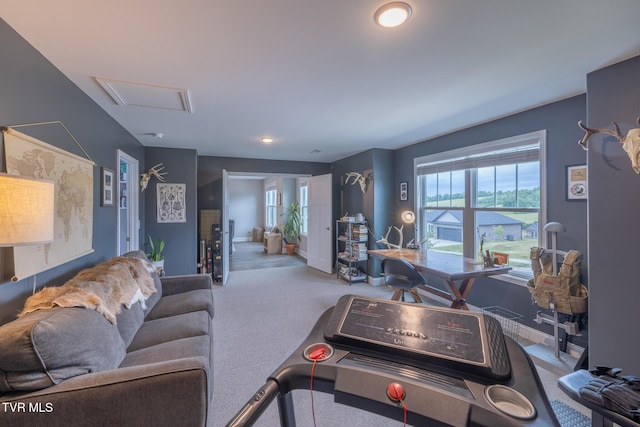 4073 Maize Pl, Piney Flats, TN 37686 - living room with carpet flooring, plenty of natural light, attic access, and baseboards