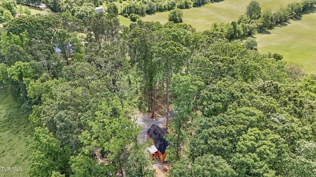 166 Booher Rd, Jonesborough, TN 37659 - aerial view of property's location with a forest