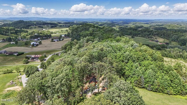 166 Booher Rd, Jonesborough, TN 37659 - aerial overview of property's location with a forest