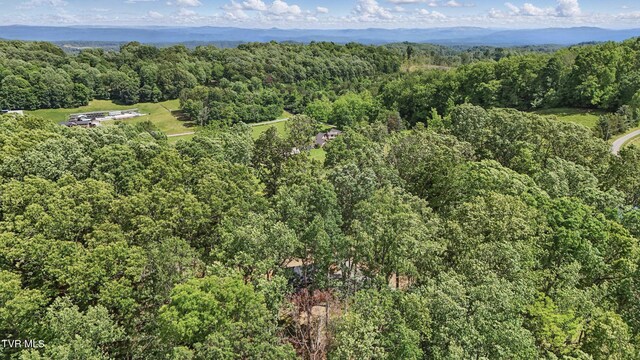 166 Booher Rd, Jonesborough, TN 37659 - aerial view of a heavily wooded area