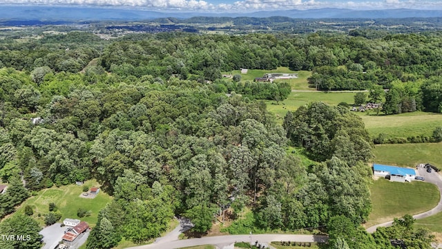 166 Booher Rd, Jonesborough, TN 37659 - view of property location with a heavily wooded area