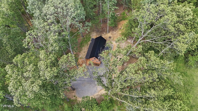 166 Booher Rd, Jonesborough, TN 37659 - exterior view of a forest