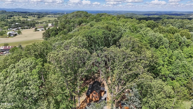 166 Booher Rd, Jonesborough, TN 37659 - aerial view of a heavily wooded area