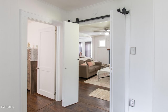 1416 E Cedar St, Bristol, TN 37620 - hallway with dark wood-style flooring, a barn door, and ornamental molding