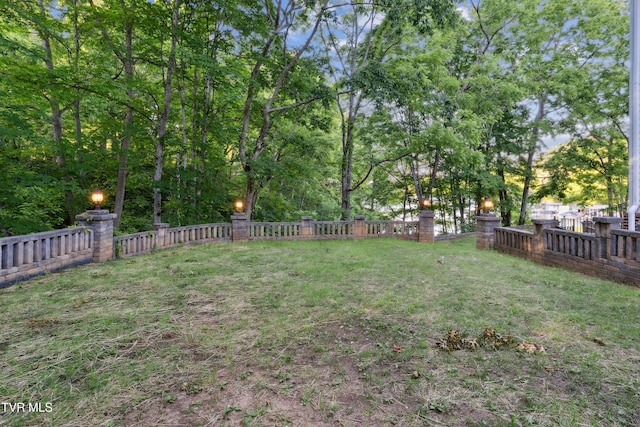 133 Knob Creek Dock Rd, Johnson City, TN 37601 - view of yard
