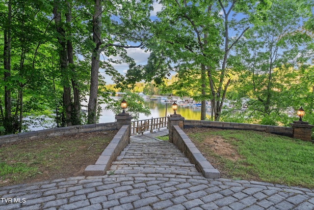 133 Knob Creek Dock Rd, Johnson City, TN 37601 - view of property's community with a water view