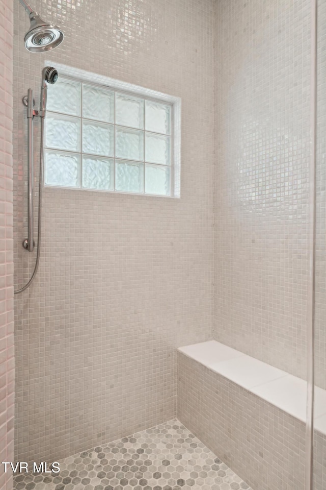 133 Knob Creek Dock Rd, Johnson City, TN 37601 - bathroom featuring a tile shower