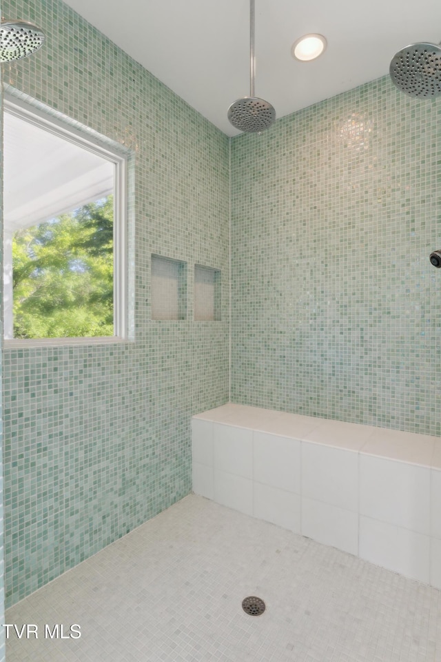133 Knob Creek Dock Rd, Johnson City, TN 37601 - full bath featuring tiled shower and recessed lighting