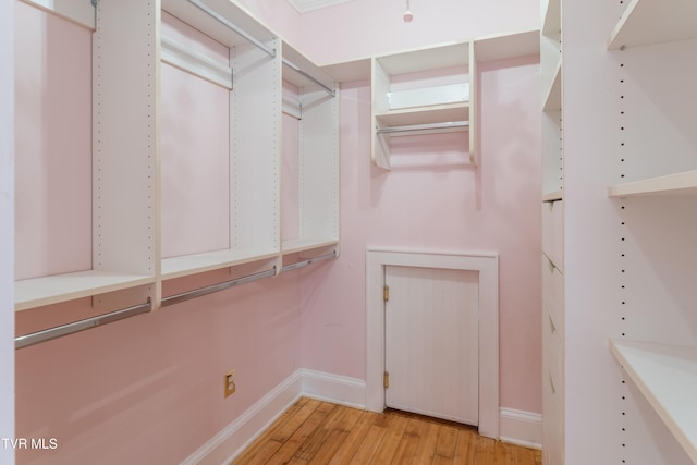 133 Knob Creek Dock Rd, Johnson City, TN 37601 - spacious closet with light wood-style flooring