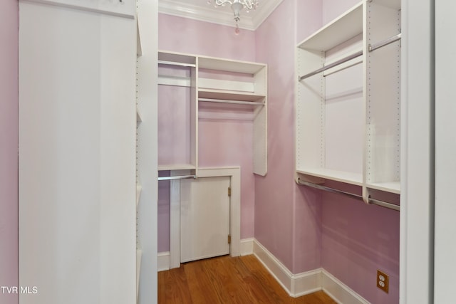 133 Knob Creek Dock Rd, Johnson City, TN 37601 - walk in closet with wood finished floors