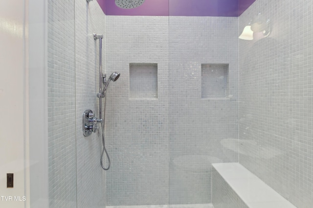 133 Knob Creek Dock Rd, Johnson City, TN 37601 - bathroom featuring a tile shower