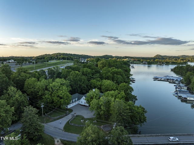 133 Knob Creek Dock Rd, Johnson City, TN 37601 - aerial view at dusk of a water view