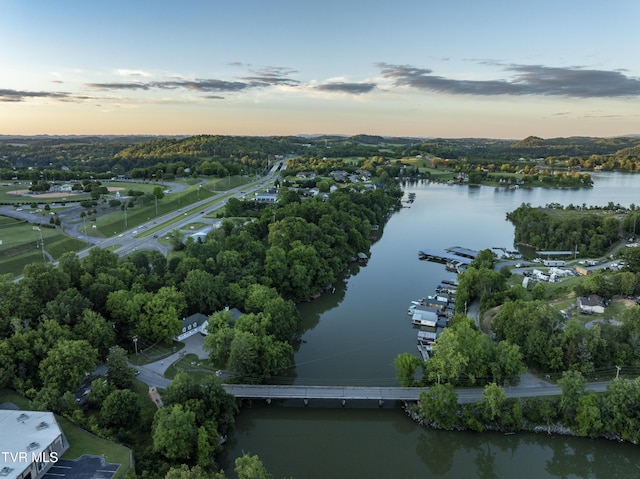 133 Knob Creek Dock Rd, Johnson City, TN 37601 - bird's eye view of a nearby body of water and a tree filled landscape