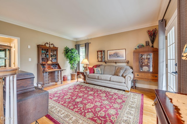 117 Quail Heights Ct, Kingsport, TN 37663 - living area with ornamental molding and wood finished floors