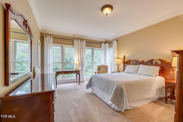117 Quail Heights Ct, Kingsport, TN 37663 - carpeted bedroom with multiple windows and crown molding
