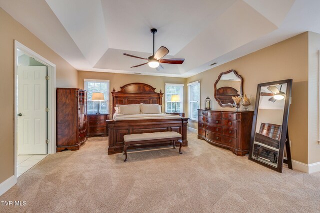 117 Quail Heights Ct, Kingsport, TN 37663 - bedroom with a tray ceiling, light colored carpet, multiple windows, and baseboards
