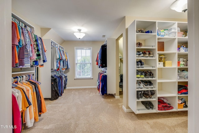 117 Quail Heights Ct, Kingsport, TN 37663 - spacious closet with carpet flooring
