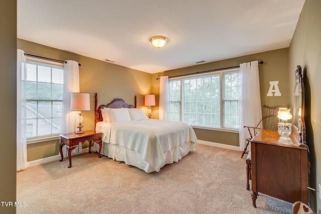 117 Quail Heights Ct, Kingsport, TN 37663 - bedroom featuring baseboards, multiple windows, and carpet
