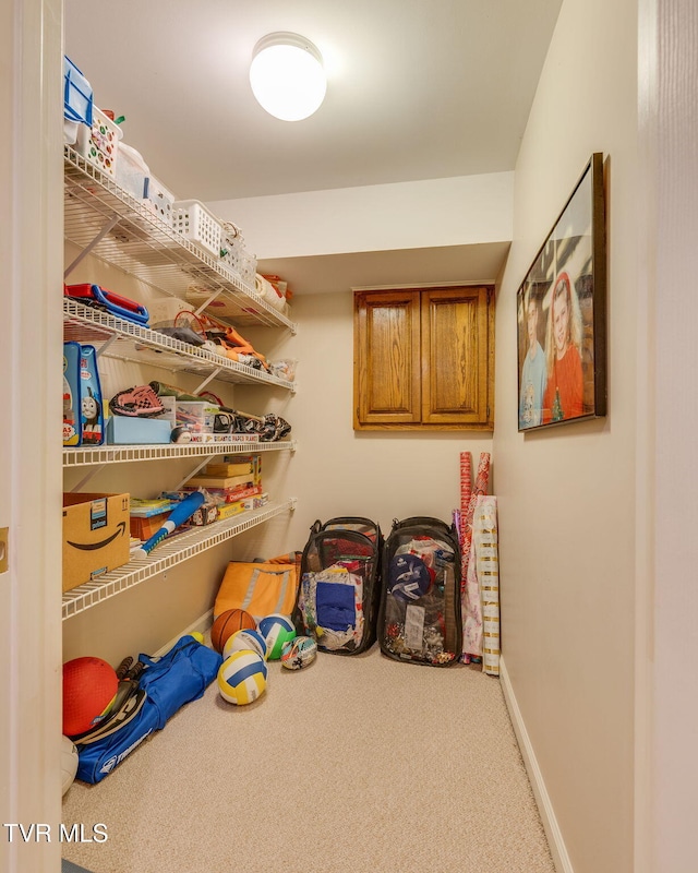 117 Quail Heights Ct, Kingsport, TN 37663 - view of storage area