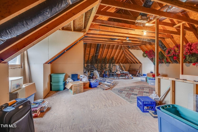 117 Quail Heights Ct, Kingsport, TN 37663 - view of unfinished attic