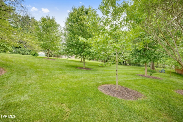 117 Quail Heights Ct, Kingsport, TN 37663 - view of grassy yard