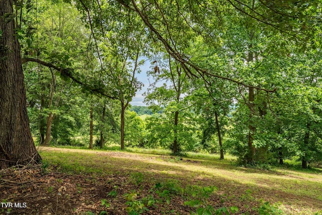 122 Spring Hollow Ln, Jonesborough, TN 37659 - view of wooded area