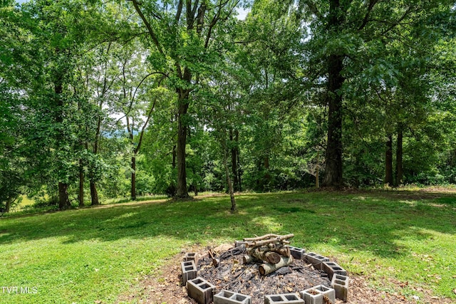 122 Spring Hollow Ln, Jonesborough, TN 37659 - view of grassy yard