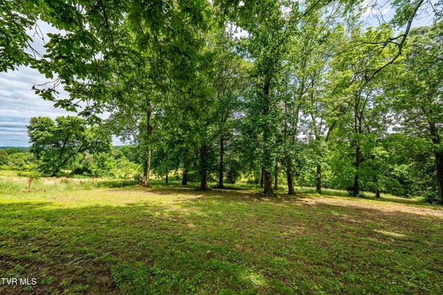 122 Spring Hollow Ln, Jonesborough, TN 37659 - view of yard