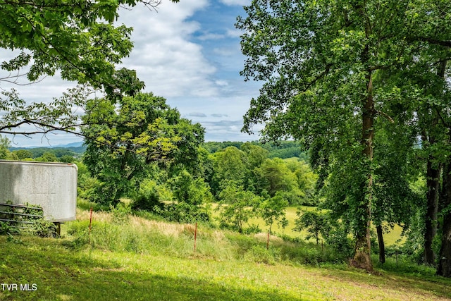 122 Spring Hollow Ln, Jonesborough, TN 37659 - view of yard