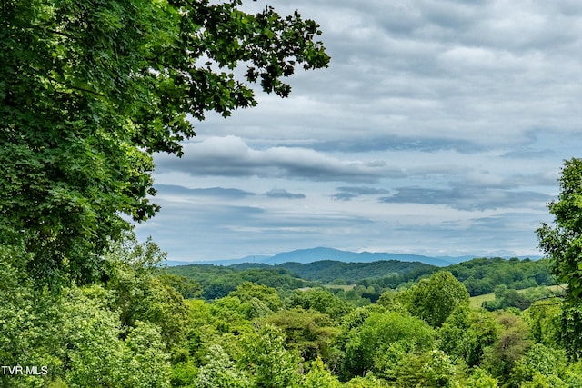122 Spring Hollow Ln, Jonesborough, TN 37659 - mountain view featuring a forest
