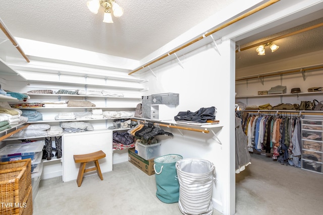 14346 White Top Vw, Abingdon, VA 24210 - walk in closet with carpet