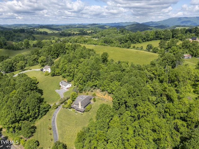 14346 White Top Vw, Abingdon, VA 24210 - aerial view