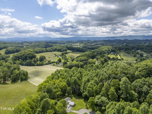 14346 White Top Vw, Abingdon, VA 24210 - aerial view of mountains and a forest