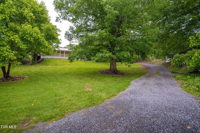 1227 Poga Rd, Butler, TN 37640 - photo 34
