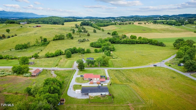 1734 Clear Springs Rd, Limestone, TN 37681 - overview of rural landscape with a mountain backdrop and a pastoral area